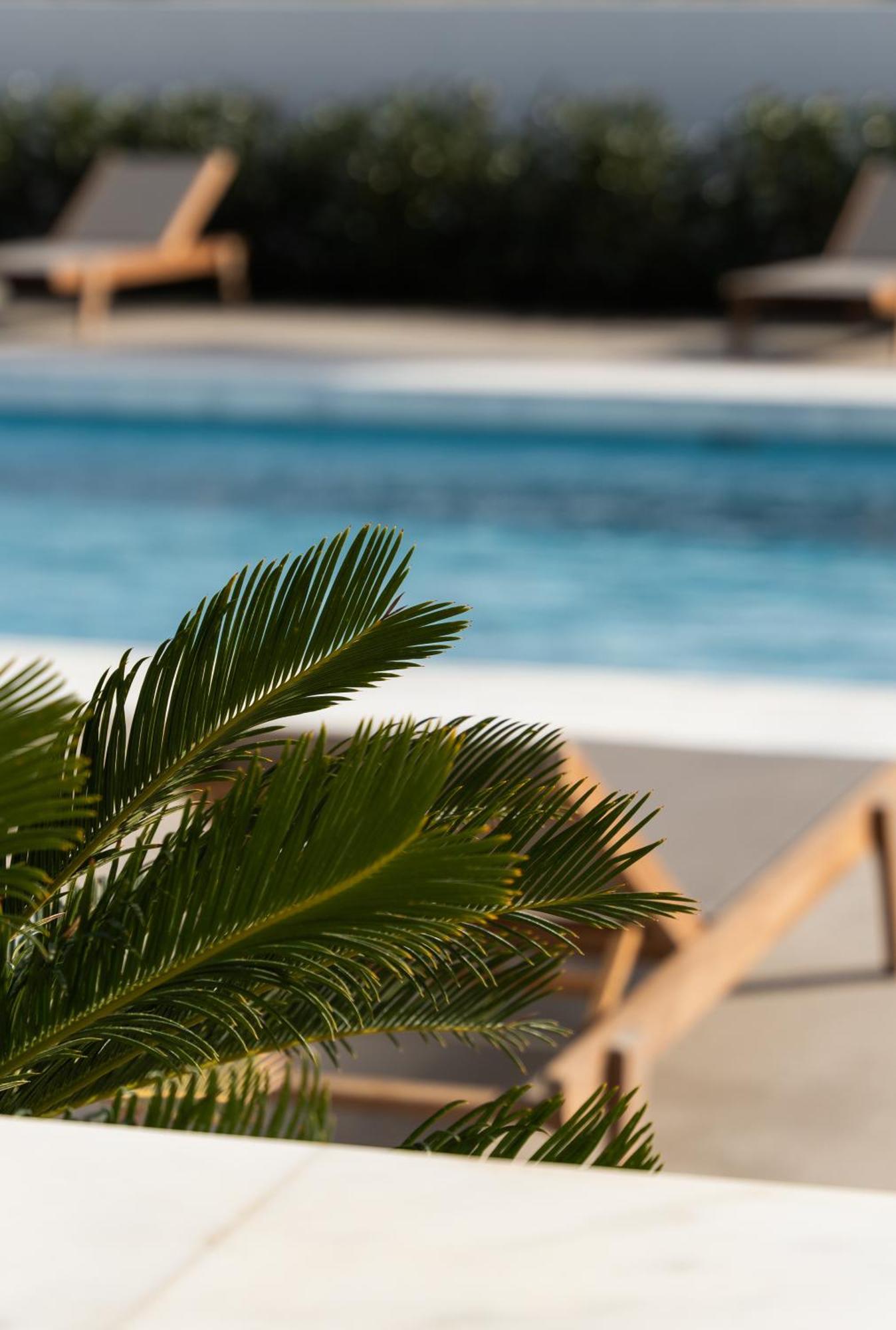 Tzanis Resort سكيروس المظهر الخارجي الصورة